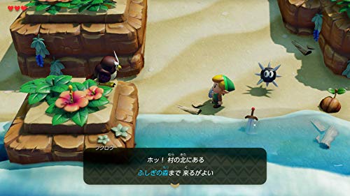 Nintendo Switch The Legend of Zelda Link's Awakening Standard Ed. HAC-P-AR3NA_3