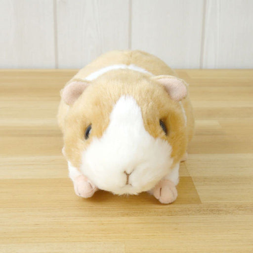 Sun Arrow Potte Guinea Pig Plush Doll H9xW9xD16cm K7887 Animal Doll Polyester_2