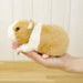 Sun Arrow Potte Guinea Pig Plush Doll H9xW9xD16cm K7887 Animal Doll Polyester_7