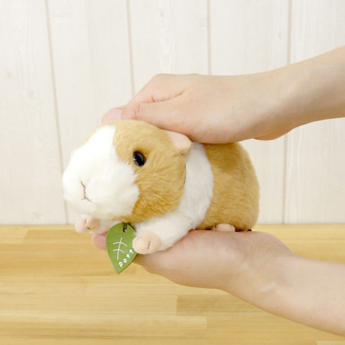 Sun Arrow Potte Guinea Pig Plush Doll H9xW9xD16cm K7887 Animal Doll Polyester_8
