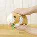 Sun Arrow Potte Guinea Pig Plush Doll H9xW9xD16cm K7887 Animal Doll Polyester_8