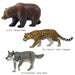 colorata Animal Geographical Zone 3 Old North Ward New North Ward Figure ‎989296_3