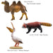 colorata Animal Geographical Zone 3 Old North Ward New North Ward Figure ‎989296_4