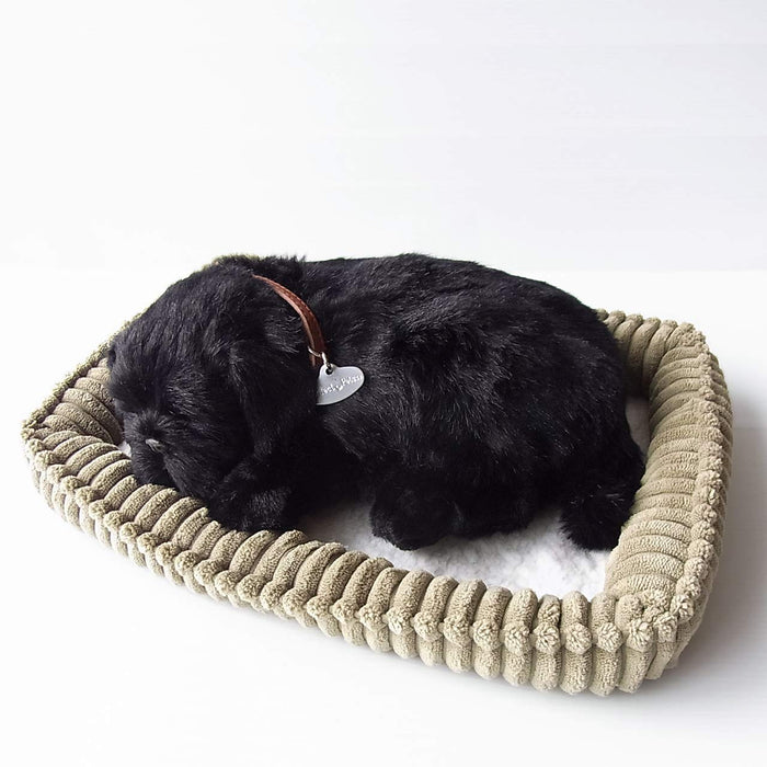 Nini and Kino Perfect Pet S Pug Black Plush Doll L22xW17xH8cm Battery Powered_1