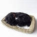 Nini and Kino Perfect Pet S Pug Black Plush Doll L22xW17xH8cm Battery Powered_1