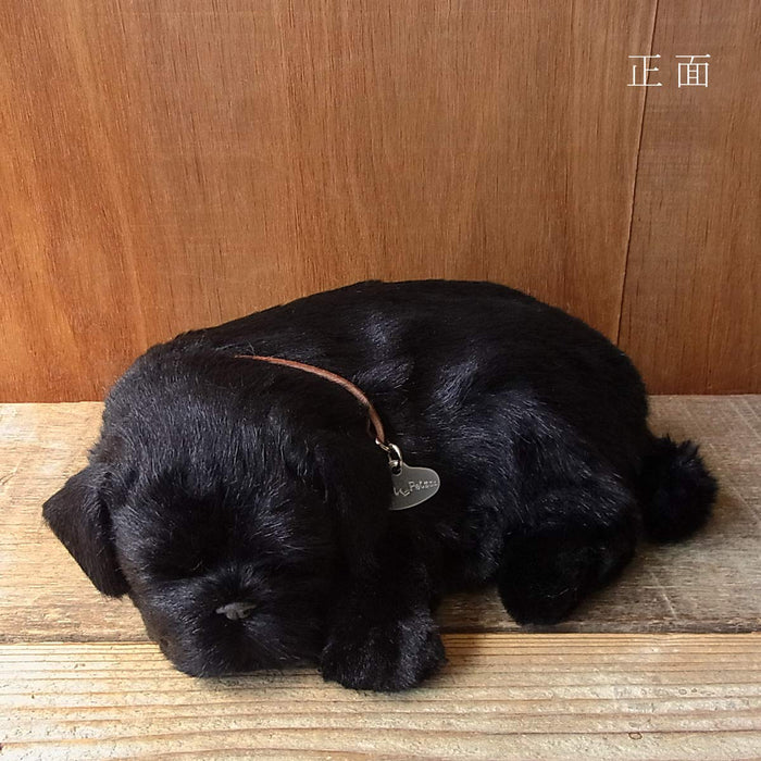 Nini and Kino Perfect Pet S Pug Black Plush Doll L22xW17xH8cm Battery Powered_2
