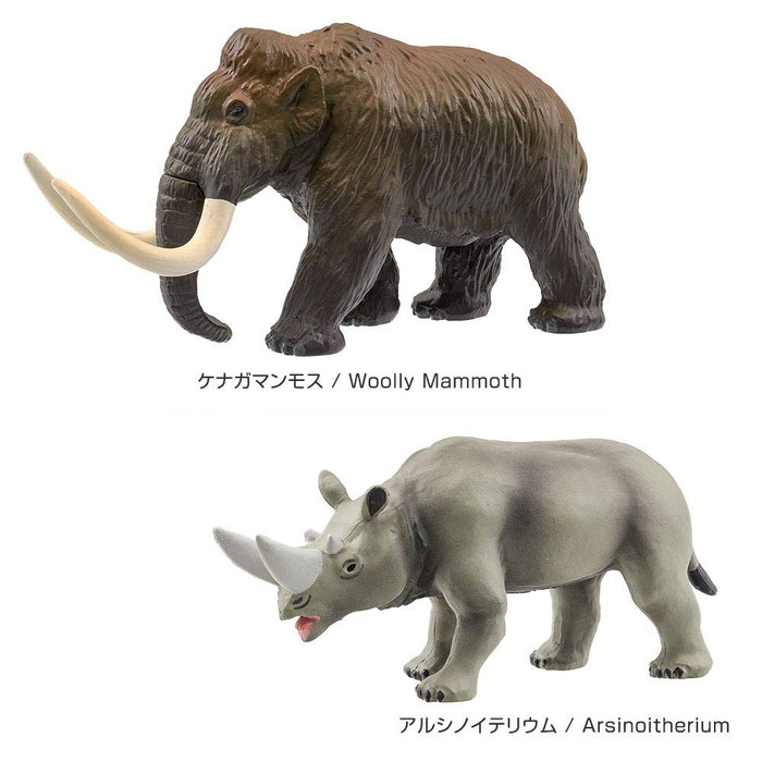 Carolata Cenozoic Extinct Animal Box 3DEncyclopedia Mammals Birds Figure ‎989401_3