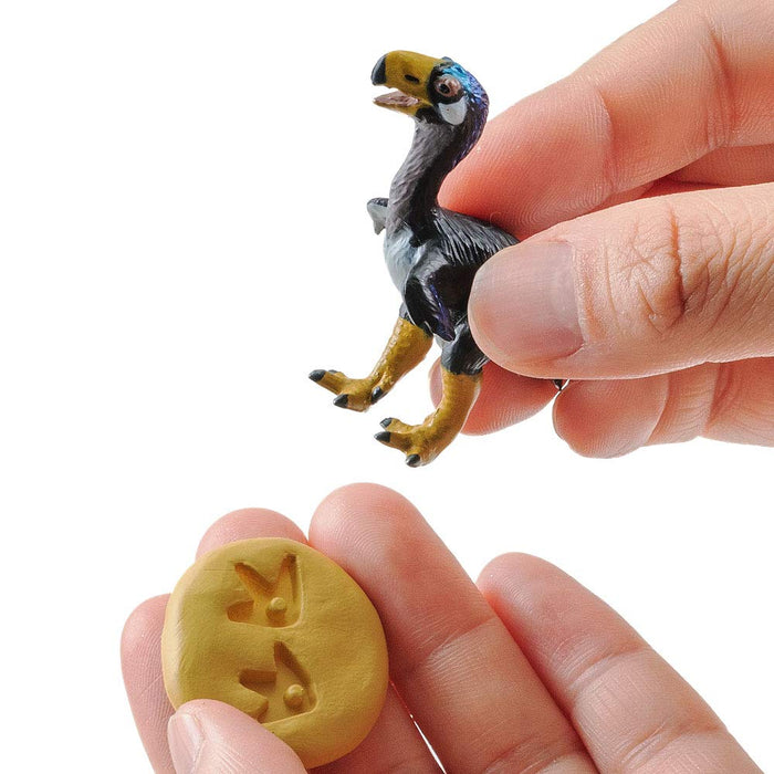 Carolata Cenozoic Extinct Animal Box 3DEncyclopedia Mammals Birds Figure ‎989401_6