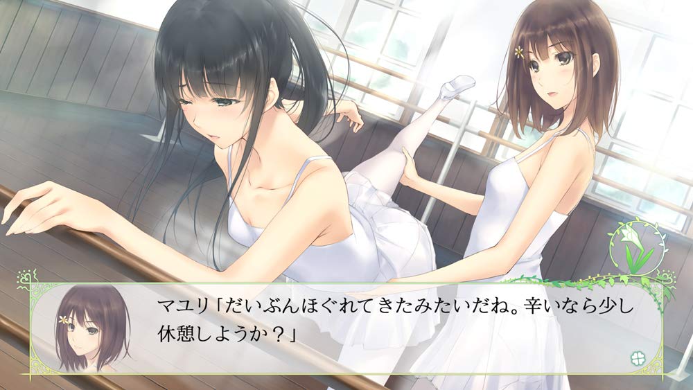 FLOWERS Shiki Nintendo Switch Yuri Adventer Game Japanese Only HAC-P-AVMUA NEW_4