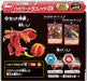 Takara Tomy Bakugan 027 Hyper Dragonoid DX Transforming Action Figure Battle Toy_2