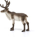 SCHLEICH Wildlife Reindeer Figure 14837 PVC Realistic Design Animal Figure NEW_2