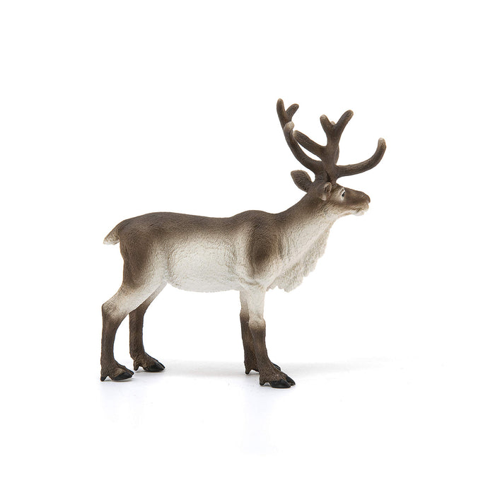 SCHLEICH Wildlife Reindeer Figure 14837 PVC Realistic Design Animal Figure NEW_5