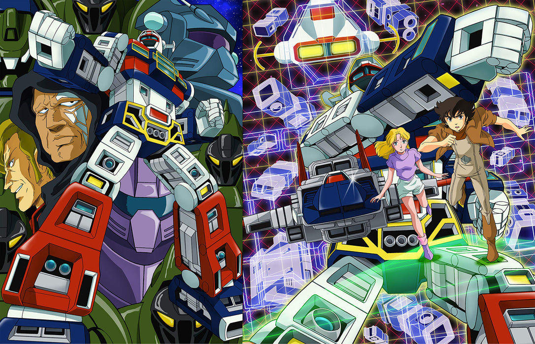 Video Warrior Laserion DVD Collection Vol.1 Standard Edition DSTD-20316 NEW_3