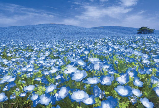 300 Piece Jigsaw Puzzle Ibaraki Hill Connecting the Sky (26x38cm) 03-911 NEW_1