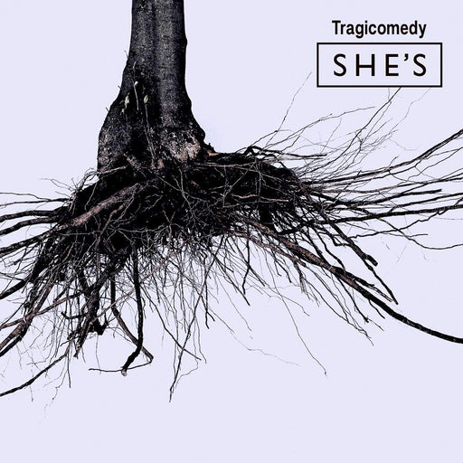 [CD+DVD] Tragicomedy First Press Limited Edition SHE’S TYCT-69174 Piano Rock NEW_1