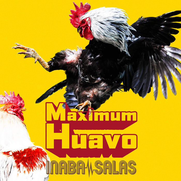 Maximum Huavo [CD+DVD] First limited edition INABA / SALAS BMCV-8058 B'z NEW_1
