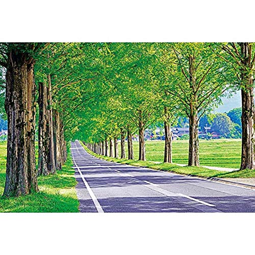 APPLEONE 1000 Piece Jigsaw Puzzle Metasequoia Avenue (50x75cm) ‎1000-853 NEW_1