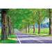 APPLEONE 1000 Piece Jigsaw Puzzle Metasequoia Avenue (50x75cm) ‎1000-853 NEW_1
