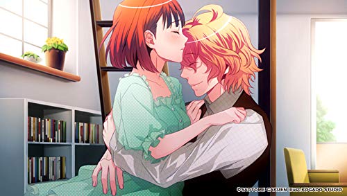 Uta no Prince-sama Debut for Nintendo Switch Romance Simulation HAC-P-AVA7A NEW_4