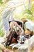 Witch Fountain 3 Re: Fine Nintendo Switch Game Multi-Language HAC-P-AZN8A NEW_1