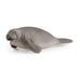 Schleich Wildlife Manatee 14839 PVC Realistic Design Animal Action Figure NEW_1
