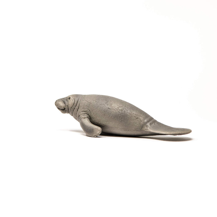 Schleich Wildlife Manatee 14839 PVC Realistic Design Animal Action Figure NEW_3