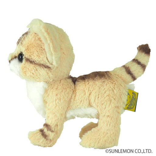 SUN LEMON Kitten Sand cat Beige White Plush Doll 14.8x1.4x15.8cm P-7302 NEW_2
