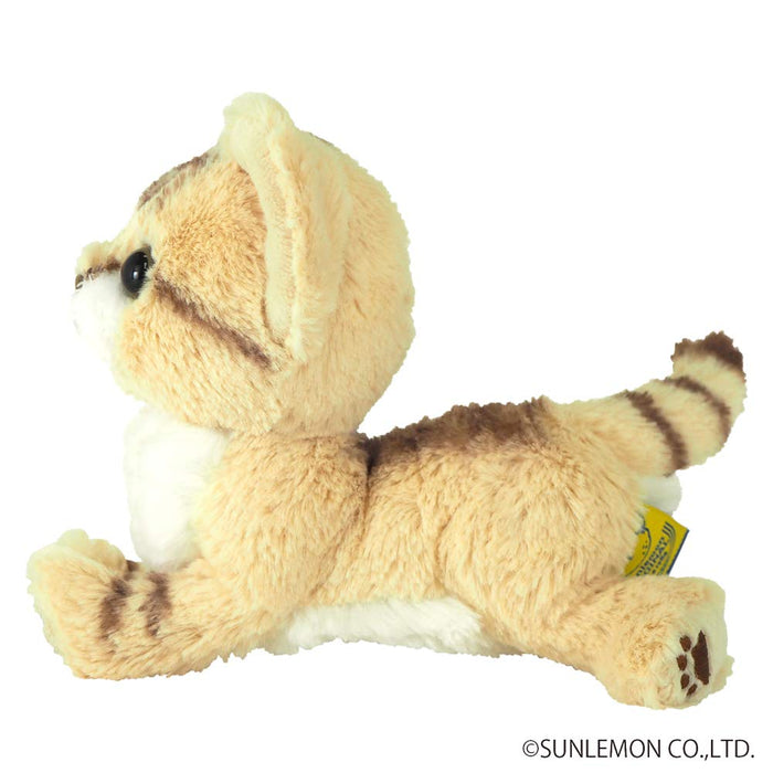 SUN LEMON Kitten Sand cat Beige White Plush Doll 14.8x1.4x15.8cm P-7302 NEW_4