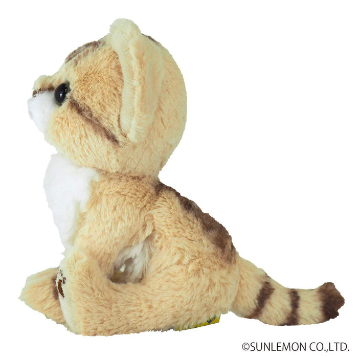 SUN LEMON Kitten Sand cat Beige White Plush Doll 14.8x1.4x15.8cm P-7302 NEW_5