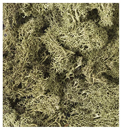 Kato Woodland Scenics Natural Material Plants Lichen Yellow Green 236ml 24-554_1