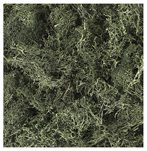 Kato Woodland Scenics Natural Material Plants Lichen Dark Green 236ml 24-555 NEW_1