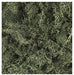 Kato Woodland Scenics Natural Material Plants Lichen Dark Green 236ml 24-555 NEW_1