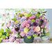 APPLEONE 1000 Piece Jigsaw Puzzle Harmony of Spring Colors 50x75cm ‎1000-858 NEW_1