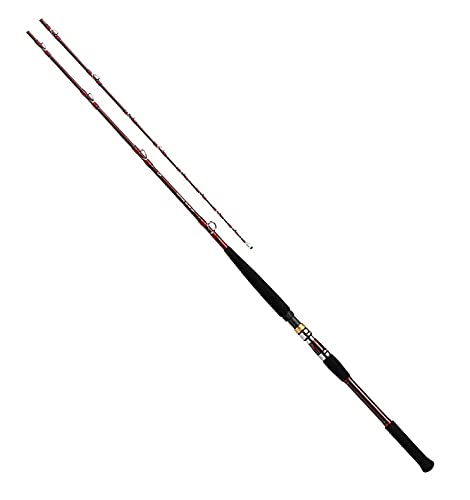 Daiwa Deep Zone GS 500-205-R Offshore Boat Rod 2.05m Unisex Adult Black/Red NEW_1