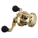 Daiwa 21 BASARA 100 Baitcasting Reel Right Handed Fishing Reel ‎00621044 NEW_2