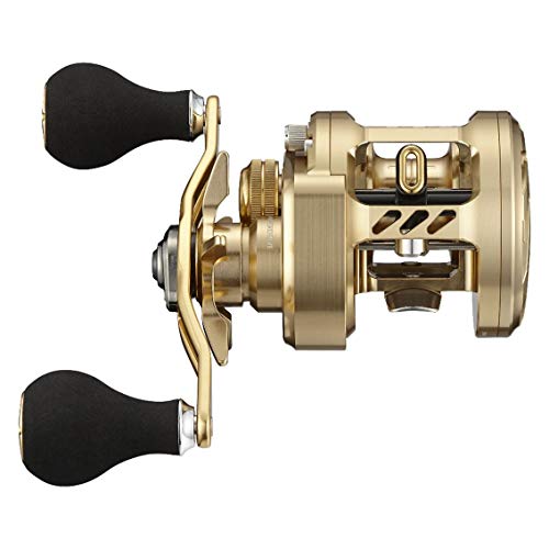 Daiwa 21 BASARA 100 Baitcasting Reel Right Handed Fishing Reel ‎00621044 NEW_4