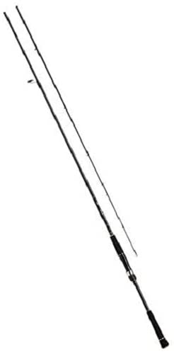 Daiwa Seabass Hunter X 100M R Spinning Rod 3.05m 2-pieces Black Unisex Adult NEW_1