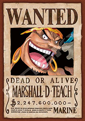 Jigsaw Puzzle 208 Pieces One Piece Wanted Poster Marshall D. Teach 208-071 NEW_1