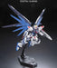 RG 1/144 Gundam SEED ZGMF-X10A Freedom Gundam Plastic Model Kit 2143383 NEW_3