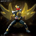 Bandai Spirits Kamen Rider Agito Grand Form Pre-Painted Model Kit ‎MK61799 NEW_7