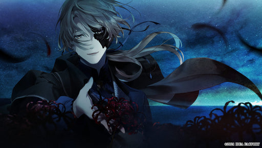 Virche of the End ErroR: salvation Nintendo Switch Otome Game HAC-P-A39SA NEW_2