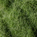 KATO N Gauge Expert Turf Weeds Color 9mm 24-447 Model Train Diorama Supplies NEW_2