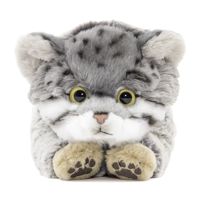 Carolata Manul Cat L Size Stuffed Animal Nesoberi Series 15x9x25cm ‎990919 NEW_2