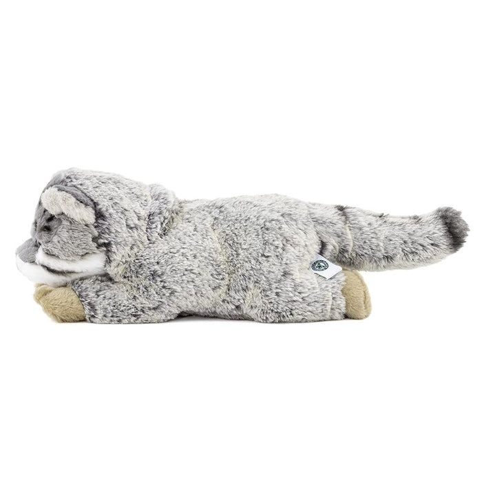Carolata Manul Cat L Size Stuffed Animal Nesoberi Series 15x9x25cm ‎990919 NEW_3