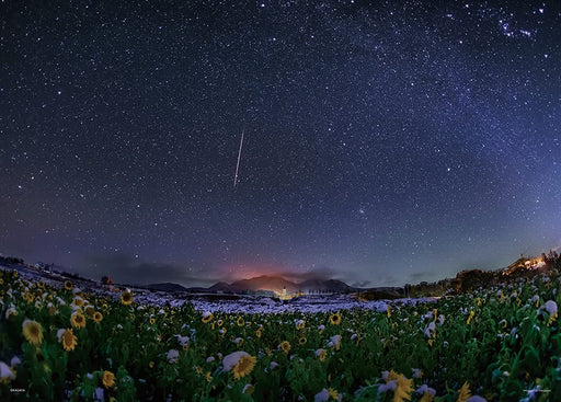 Yanoman 500pc Jigsaw Puzzle KAGAYA Snowy Sunflower Field 38x53cm ‎05-1055 NEW_1