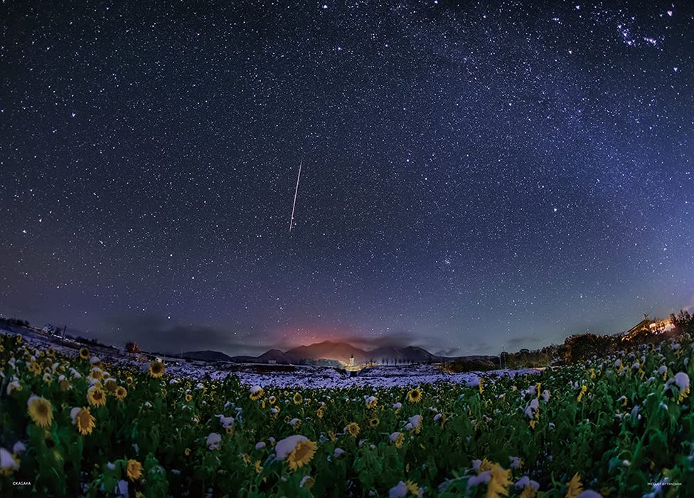 Yanoman 500pc Jigsaw Puzzle KAGAYA Snowy Sunflower Field 38x53cm ‎05-1055 NEW_1