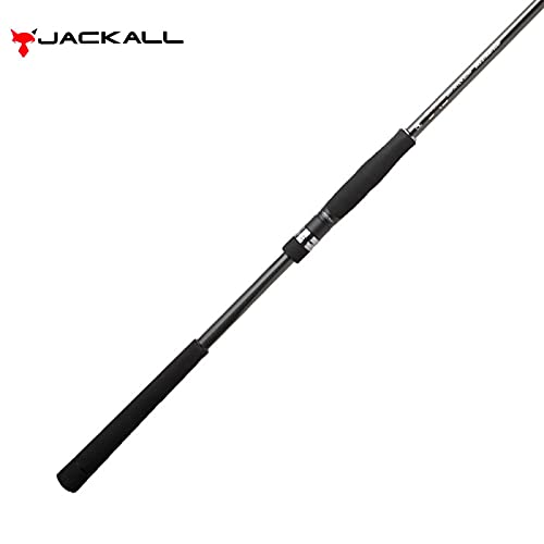 JACKALL Fishing Bass Rod BRS BRS-S106M + SURF Black 3.20m for Lure Fishing NEW_2
