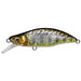 Megabass GH64 HUMPBACK Great Hunting 64 Humpback FS Takumi Kawamasu 64mm NEW_1