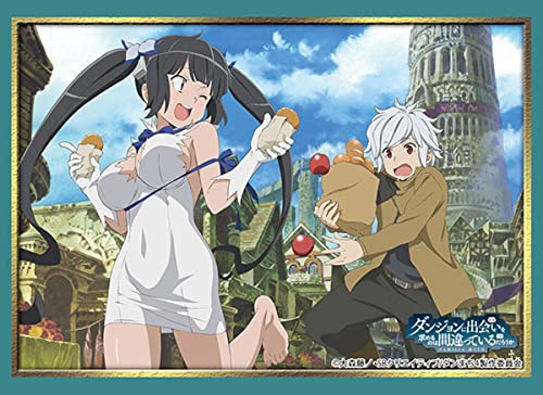 sleeve Collection HG Vol.3045 Is It Wrong to Try to Pick Up Girls in a Dungeon?_1