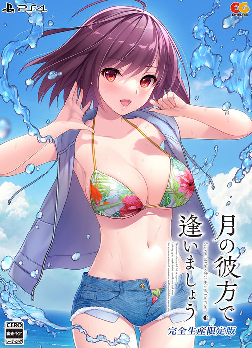 Let's meet beyond the moon limited edition PS4 Game Software EGCS-00149 NEW_1